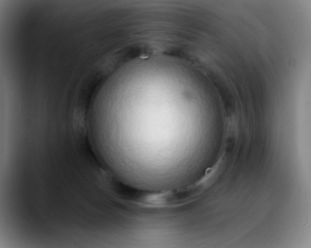 X0000089860178200707121743