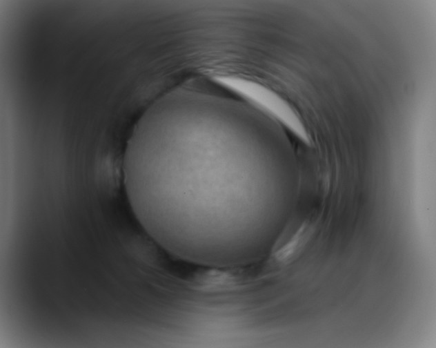 X0000089860180200707121743