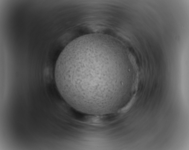 X0000089860182200707121743