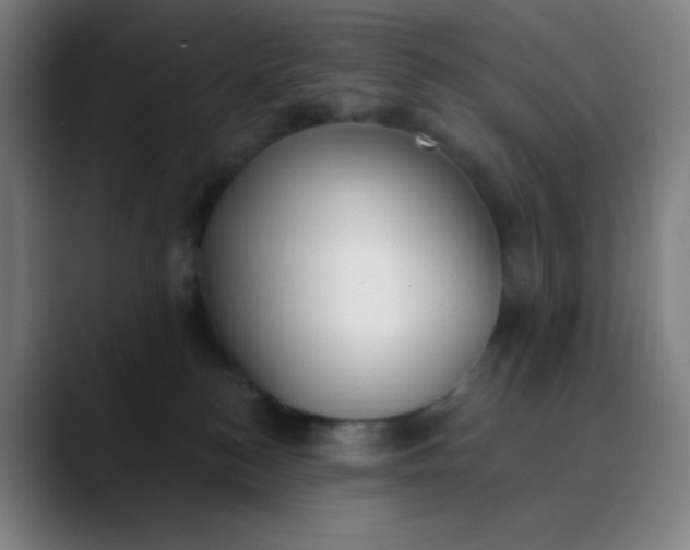 X0000089860184200707121743