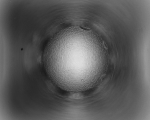 X0000089860185200707121743