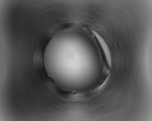 X0000089860186200707121743