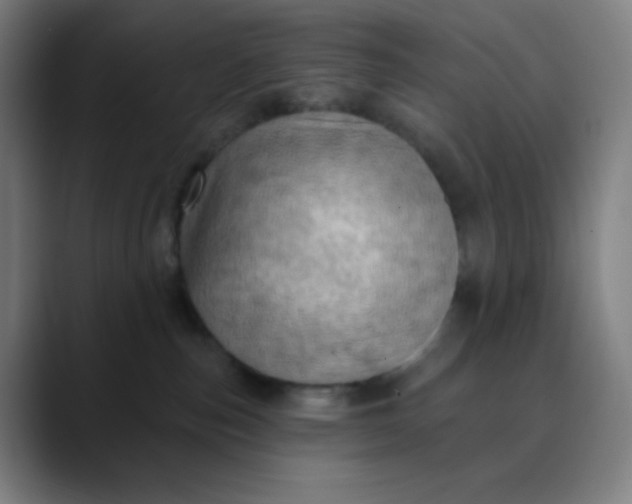 X0000089860187200707121743