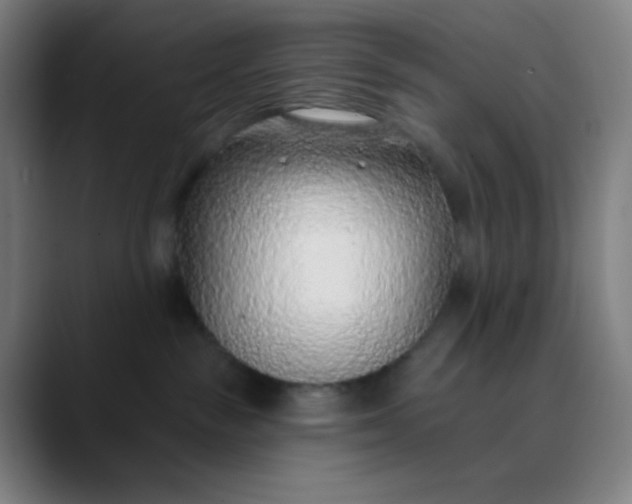 X0000089860189200707121743