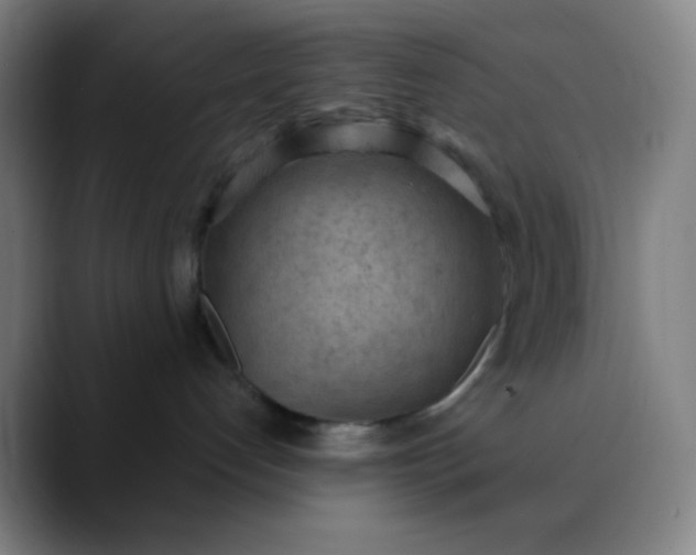 X0000089860192200707121743