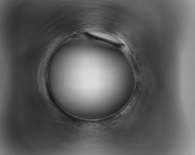 X0000089860193200707121742