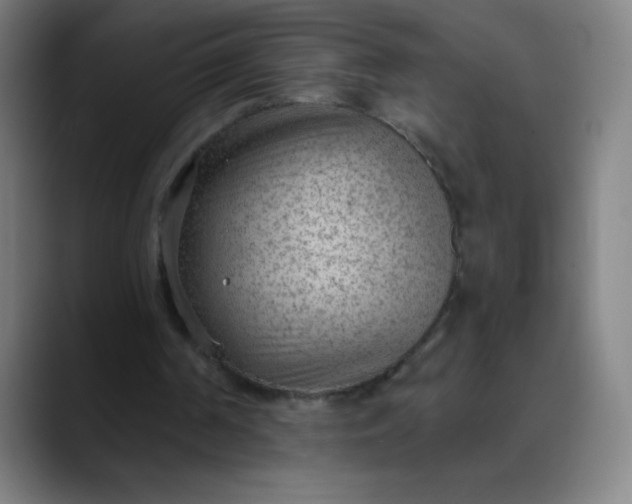 X0000089860194200707121742