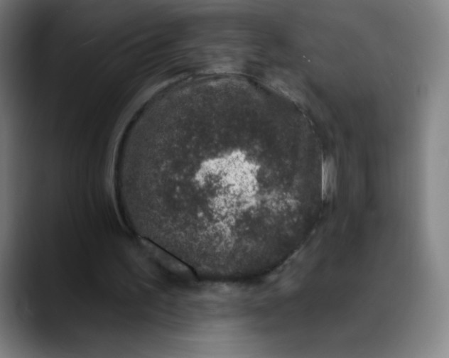 X0000089860195200707121742