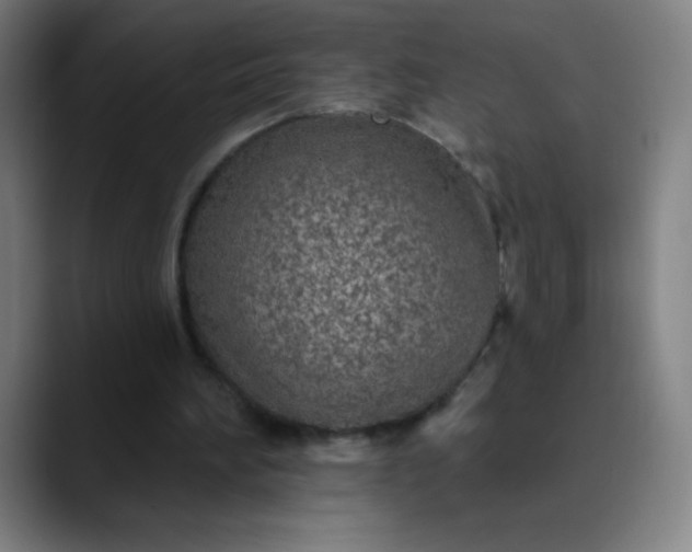 X0000089860196200707121742