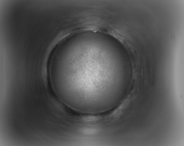 X0000089860198200707121742