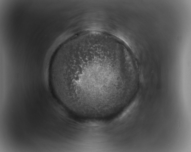 X0000089860199200707121742