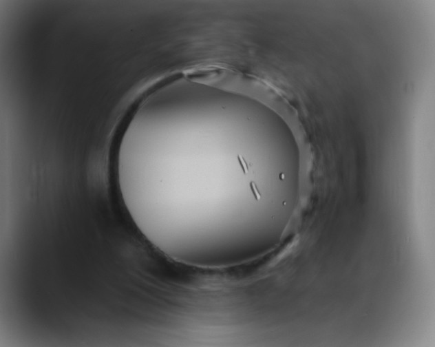 X0000089860200200707121742