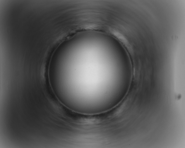 X0000089860201200707121742