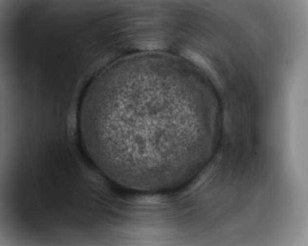 X0000089860202200707121742