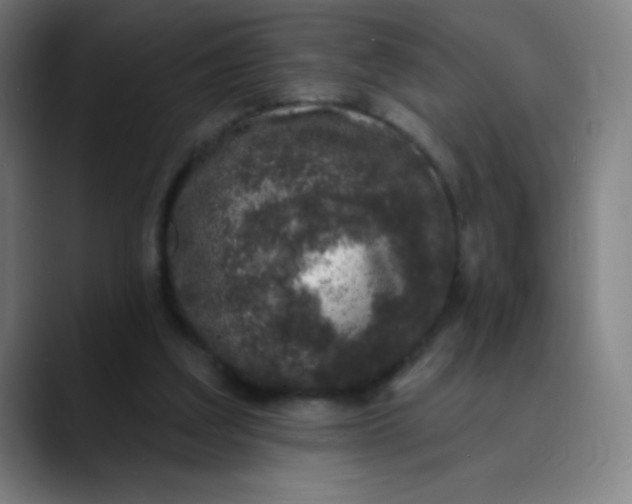 X0000089860203200707121742