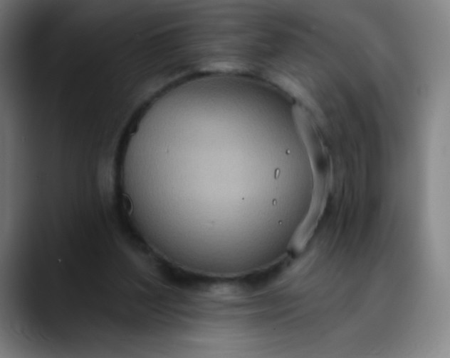 X0000089860204200707121742