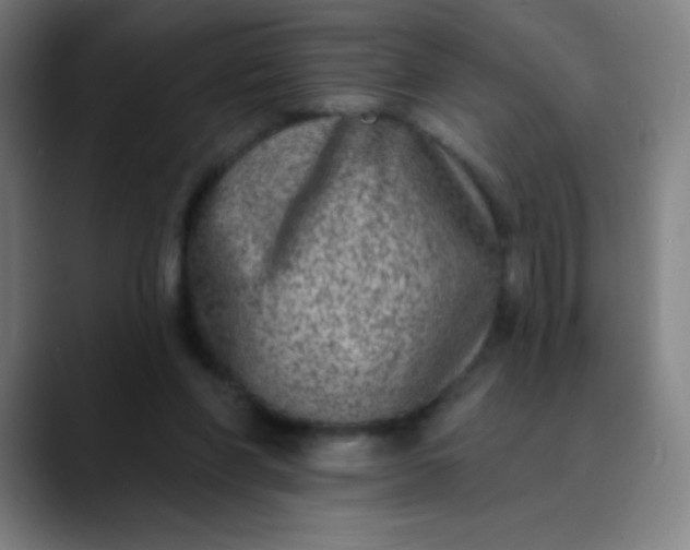 X0000089860206200707121742