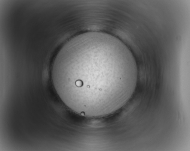 X0000089860208200707121742