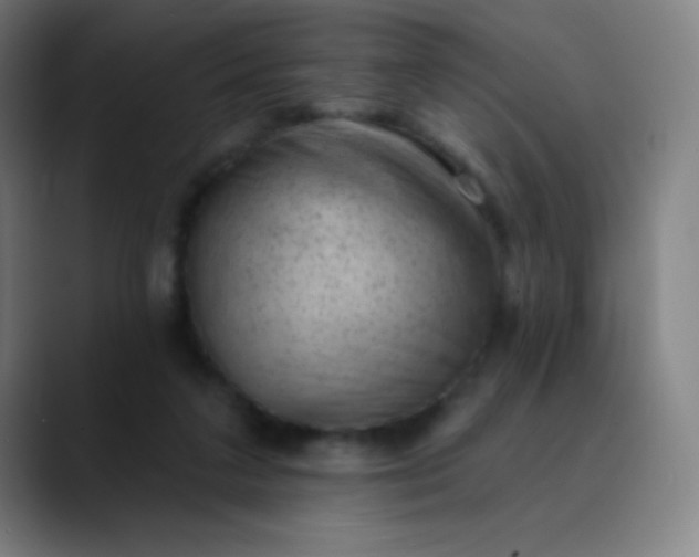 X0000089860211200707121742