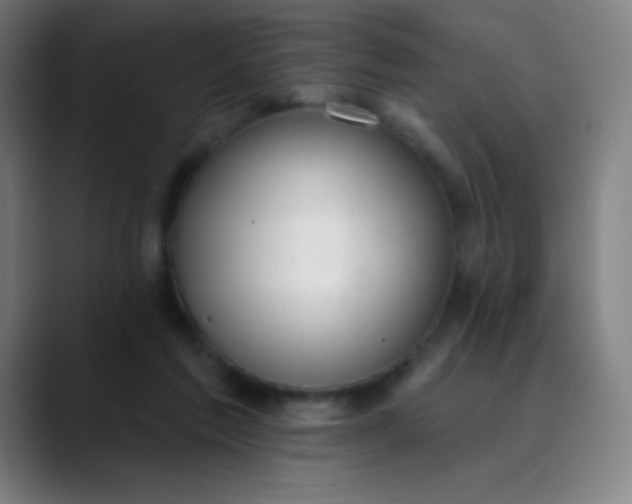 X0000089860213200707121742