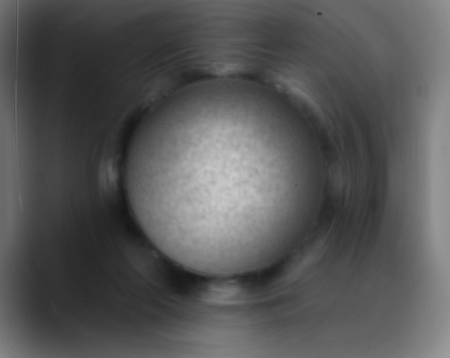 X0000089860214200707121742