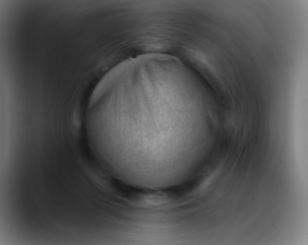 X0000089860215200707121742