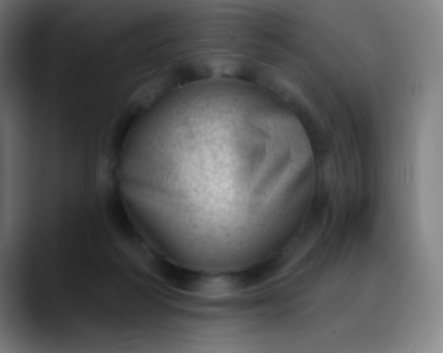 X0000089860218200707121742