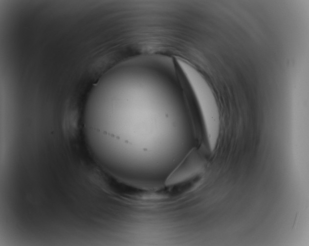 X0000089860219200707121742