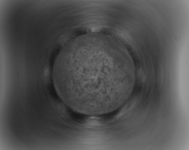 X0000089860222200707121742