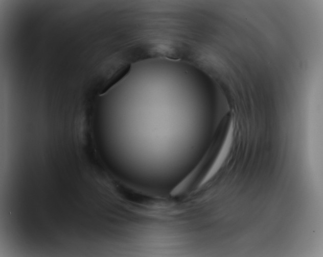 X0000089860223200707121742