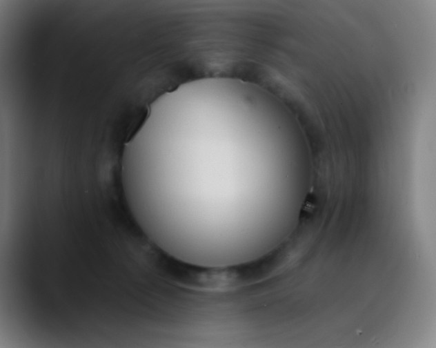 X0000089860225200707121742