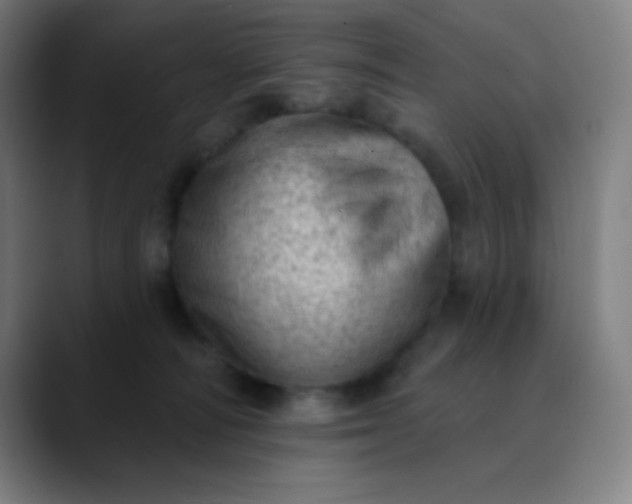 X0000089860226200707121742