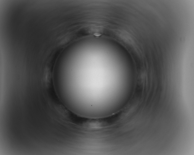 X0000089860228200707121742