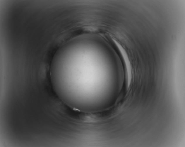 X0000089860229200707121742