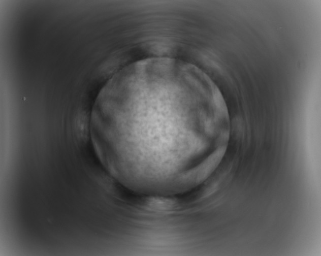 X0000089860234200707121742