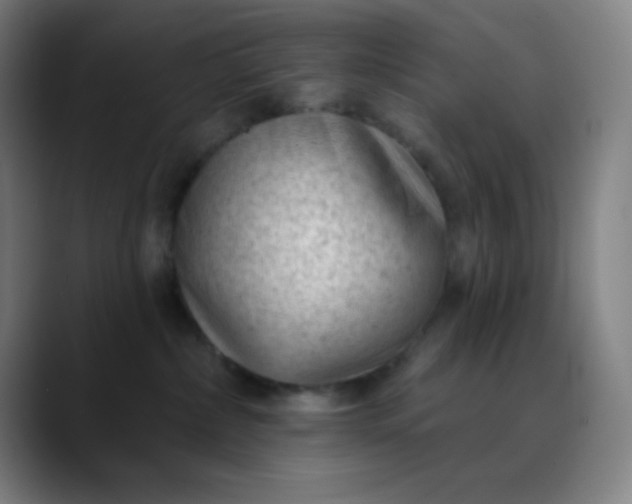 X0000089860236200707121742