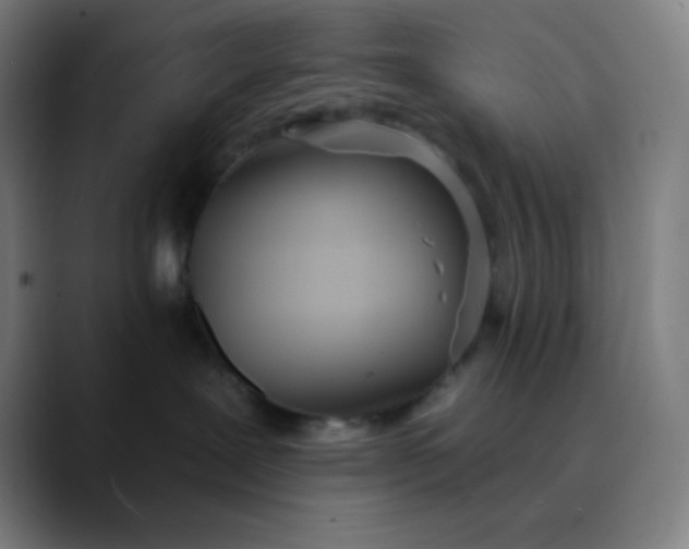 X0000089860239200707121742