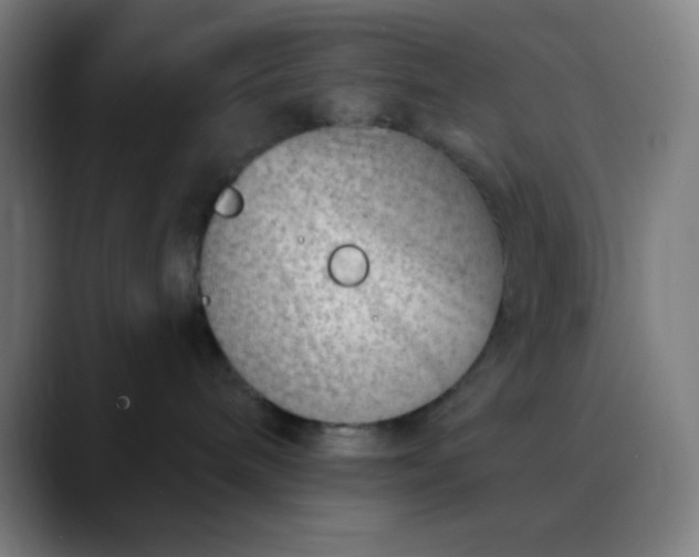 X0000089860240200707121742