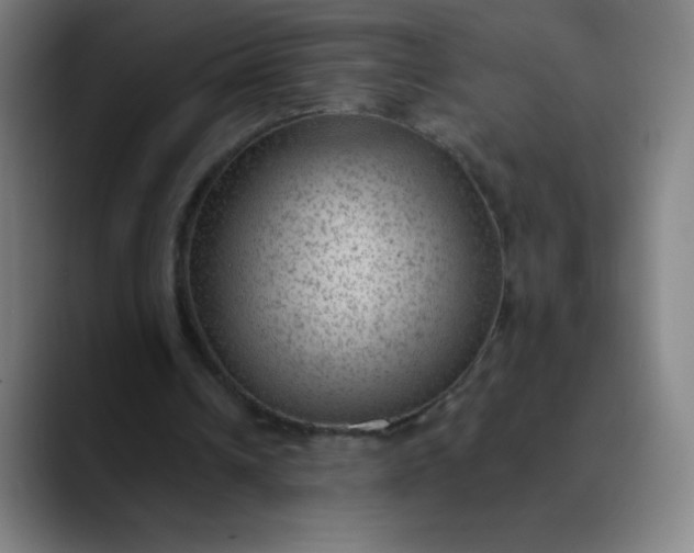 X0000089860242200707121741