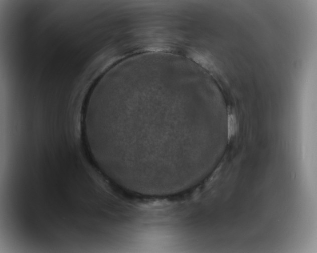 X0000089860243200707121741