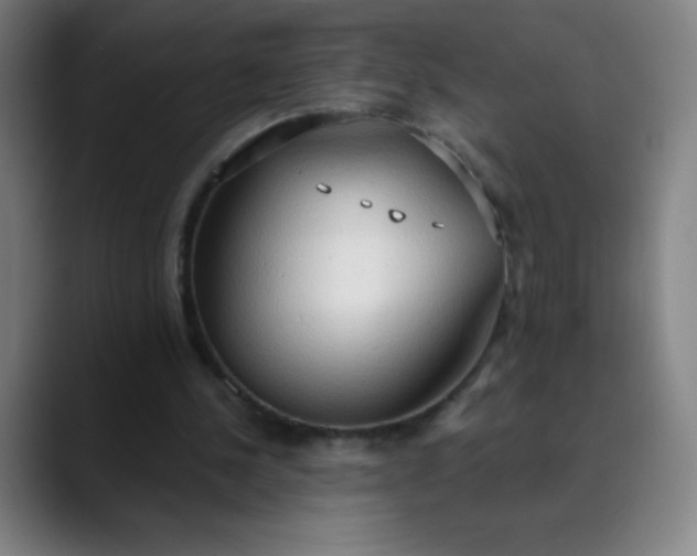 X0000089860244200707121741