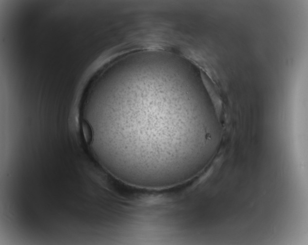 X0000089860246200707121741