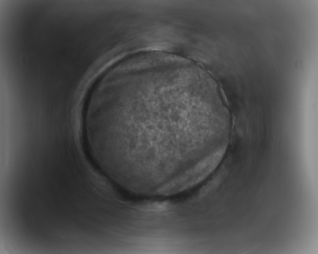 X0000089860247200707121741