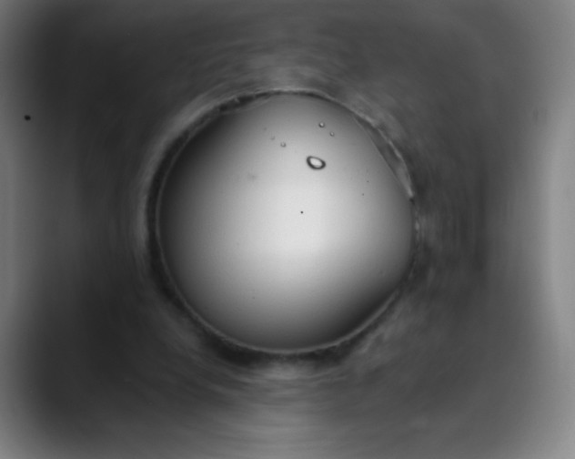 X0000089860248200707121741