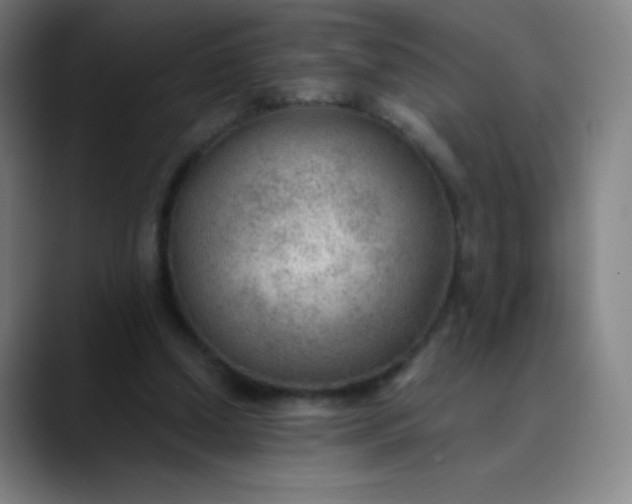 X0000089860250200707121741