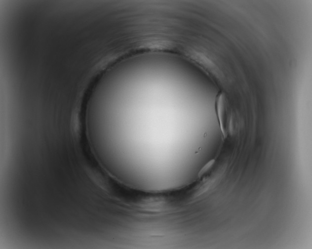 X0000089860252200707121741