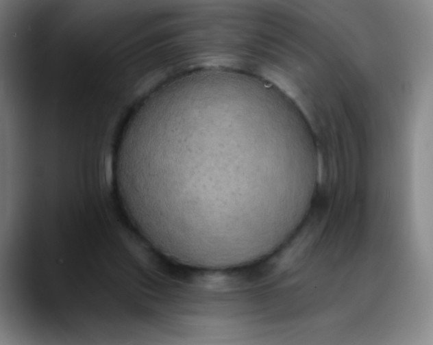 X0000089860253200707121741