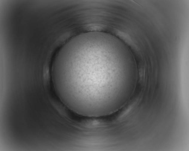 X0000089860254200707121741