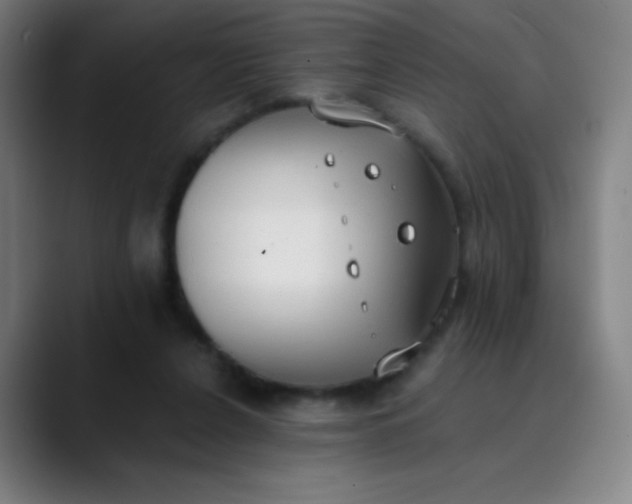 X0000089860256200707121741