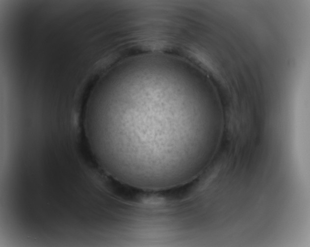 X0000089860258200707121741